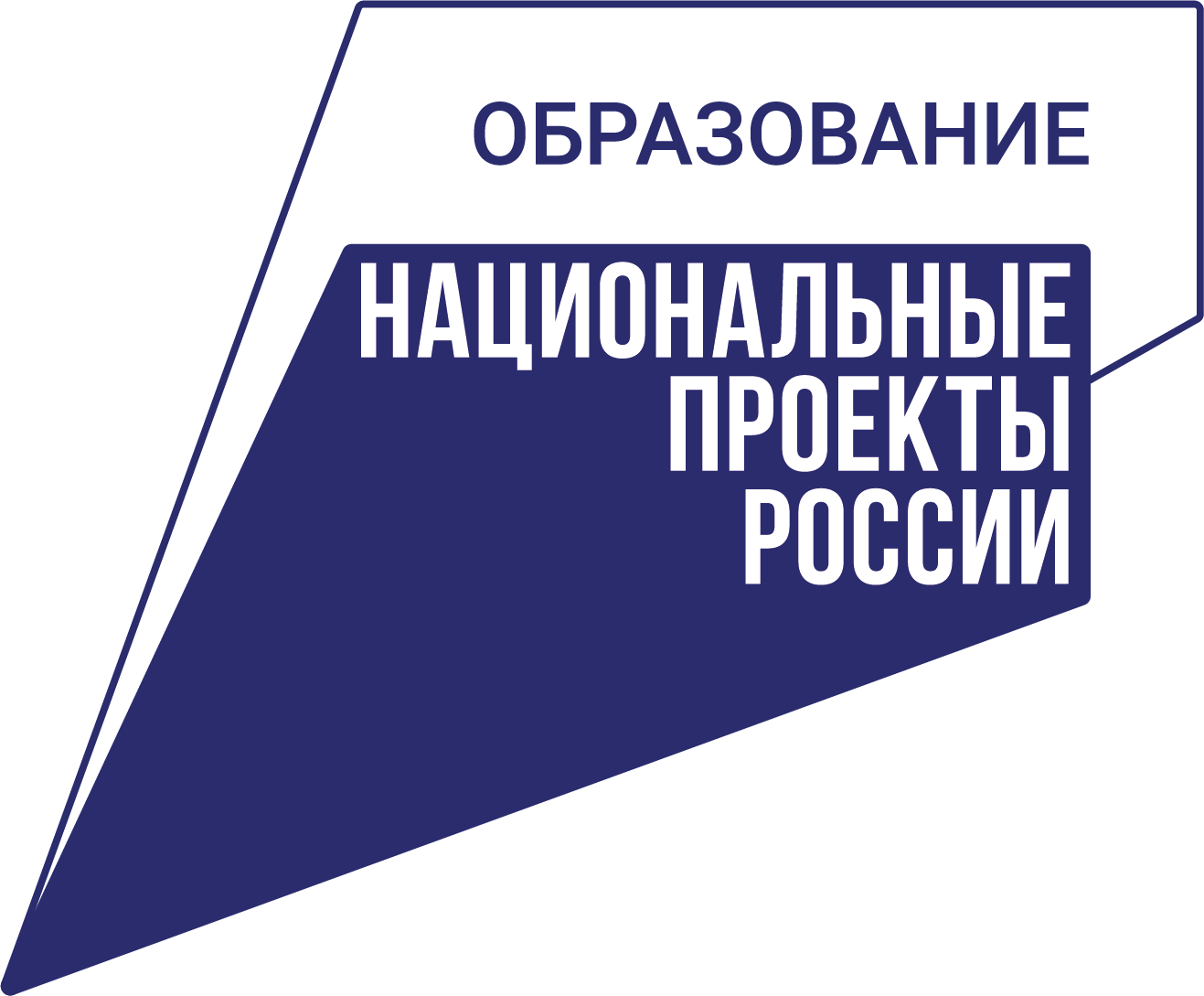 NazProekt Logo